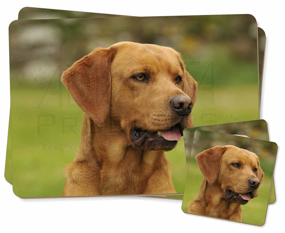 Fox red 2024 labrador gifts