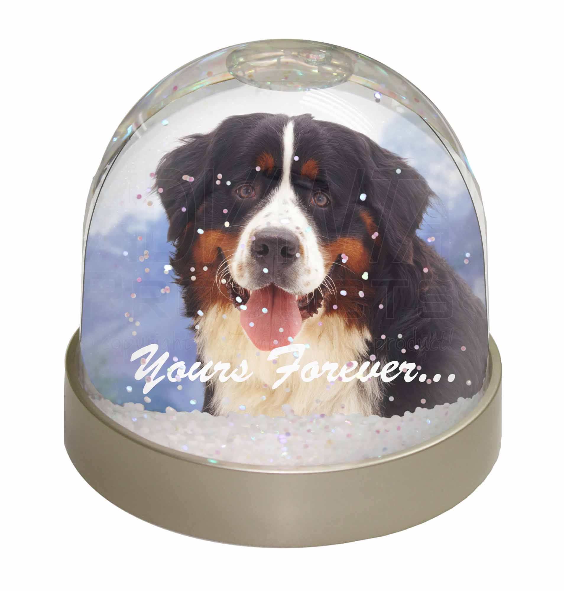 Bernese Mountain Dog Snow Dome Photo Globe Waterball Animal Gift, AD