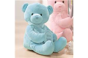 New Born Baby Pink Teddy Bear Holding 