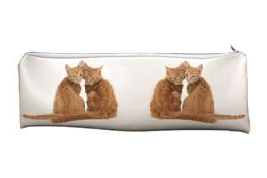 Ginger Kittens Large, Long Pencil Case, School or Office Gift, Cat AC-203CA