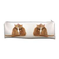 Ginger Kittens Large, Long Pencil Case, School or Office Gift, Cat AC-203CA