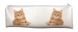 Ginger Kitten Large PVC Cloth School Pencil Case AC-158CA