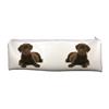 Chesapeake Retriever Dog Large Printed PVC Cloth School Supplies Pencil Case