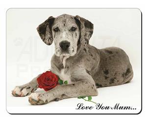 Great Dane with Rose 