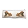 Large, School Pencil Case Golden Retriever Dog 