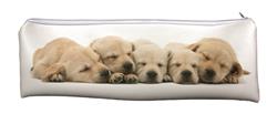 Golden Retriever Puppies Large, Long School Pencil Case, Dog