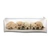 Golden Retriever Puppies Large, Long School Pencil Case, Dog