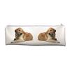 Golden Retriever Dog Extra Long, Large Pencil Case School or Office