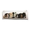 Cute Guinea Pigs Large, Long School Pencil Case Pet Animal Gift