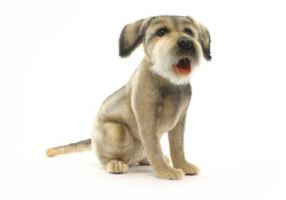 Hansa Gorgeous and Realistic Life-Size Border Terrier Dog Soft Toy 4568