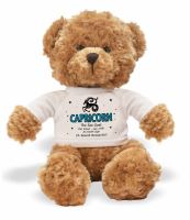 Capricorn Astrology Star Sign Teddy Bear Wearing a Printed Zodiac T-Shirt