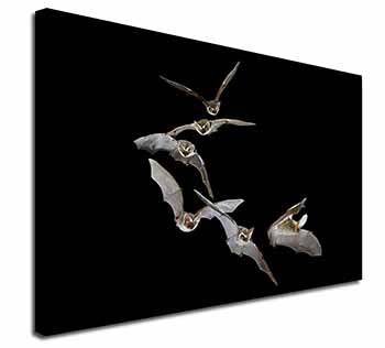 Bats in Flight Canvas X-Large 30"x20" Wall Art Print