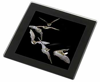 Bats in Flight Black Rim High Quality Glass Coaster