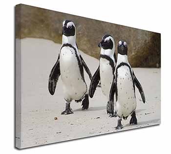 Penguins on Sandy Beach Canvas X-Large 30"x20" Wall Art Print