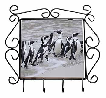 Sea Penguins Wrought Iron Key Holder Hooks