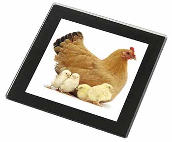 Hen with Baby Chicks Black Rim High Quality Glass Coaster