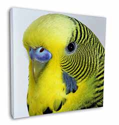 Yellow Budgerigar, Budgie Square Canvas 12"x12" Wall Art Picture Print