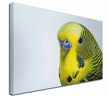 Yellow Budgerigar, Budgie Canvas X-Large 30"x20" Wall Art Print