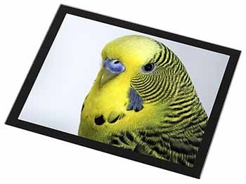 Yellow Budgerigar, Budgie Black Rim High Quality Glass Placemat