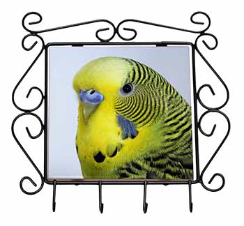 Yellow Budgerigar, Budgie Wrought Iron Key Holder Hooks