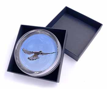 Flying Kestrel Bird of Prey Glass Paperweight in Gift Box