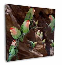 Lovebirds, Pretty Love Birds Square Canvas 12"x12" Wall Art Picture Print