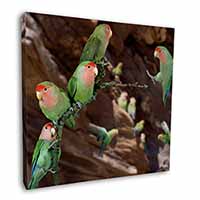 Lovebirds, Pretty Love Birds Square Canvas 12"x12" Wall Art Picture Print