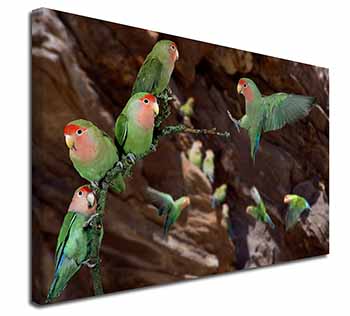 Lovebirds, Pretty Love Birds Canvas X-Large 30"x20" Wall Art Print