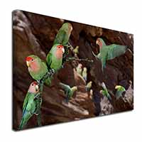 Lovebirds, Pretty Love Birds Canvas X-Large 30"x20" Wall Art Print