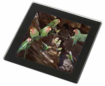 Lovebirds, Pretty Love Birds Black Rim High Quality Glass Coaster