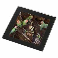 Lovebirds, Pretty Love Birds Black Rim High Quality Glass Coaster