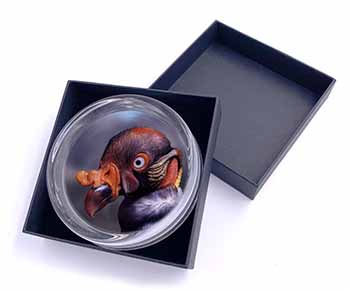 King Vulture Bird of Prey Glass Paperweight in Gift Box