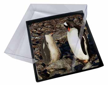 4x Penguins on Pebbles Picture Table Coasters Set in Gift Box