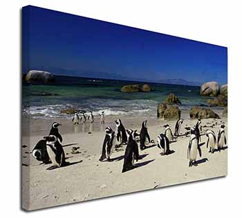 Beach Penguins Canvas X-Large 30"x20" Wall Art Print