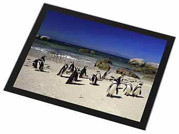 Beach Penguins Black Rim High Quality Glass Placemat