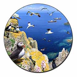 Puffins and Sea Bird Montage Fridge Magnet Printed Full Colour