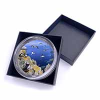 Puffins and Sea Bird Montage Glass Paperweight in Gift Box