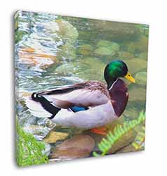 Mallard Duck by Stream Square Canvas 12"x12" Wall Art Picture Print