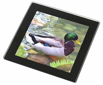 Mallard Duck by Stream Black Rim High Quality Glass Coaster