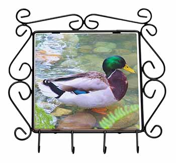 Mallard Duck by Stream Wrought Iron Key Holder Hooks