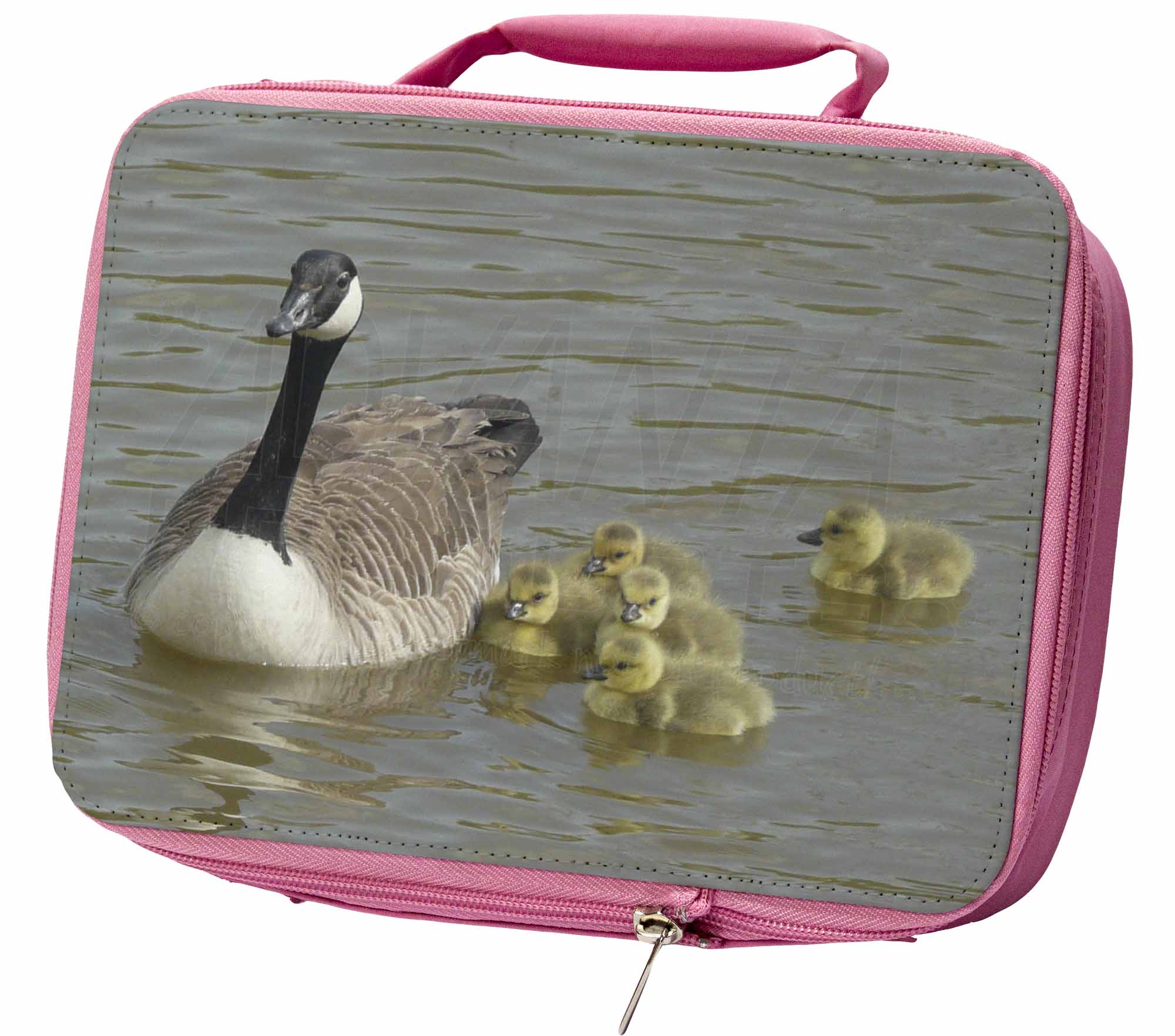 insulated lunch box canada