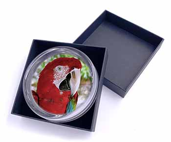 Green Winged Red Macaw Parrot Glass Paperweight in Gift Box