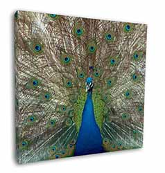 Rainbow Feathers Peacock Square Canvas 12"x12" Wall Art Picture Print