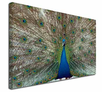 Rainbow Feathers Peacock Canvas X-Large 30"x20" Wall Art Print