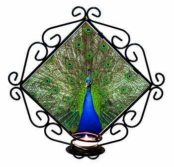 Rainbow Feathers Peacock Wrought Iron Wall Art Candle Holder