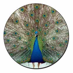 Rainbow Feathers Peacock Fridge Magnet Printed Full Colour