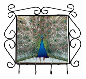 Rainbow Feathers Peacock Wrought Iron Key Holder Hooks