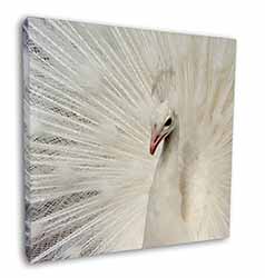 White Feathers Peacock Square Canvas 12"x12" Wall Art Picture Print