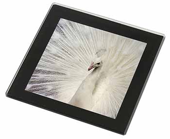 White Feathers Peacock Black Rim High Quality Glass Coaster