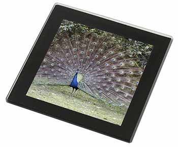 Colourful Peacock Black Rim High Quality Glass Coaster